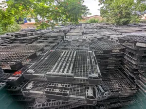 A World of Plastic Pallets
