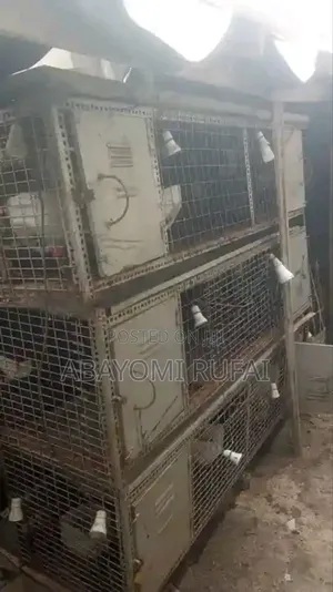 Galvanized Chicken Cage