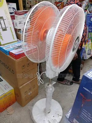 Double Face. Fan