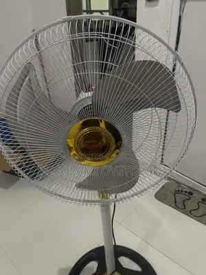 Lucky Smart Fan