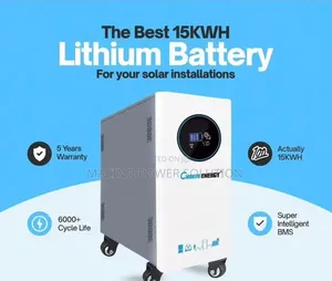 Cworth 15kwh Lithium Ion Batteries 5 Years Warranty