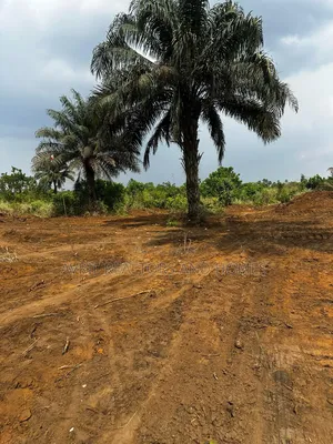 Dry Table Land for Sale
