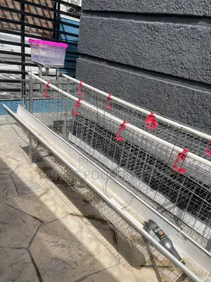 Poultry Cage