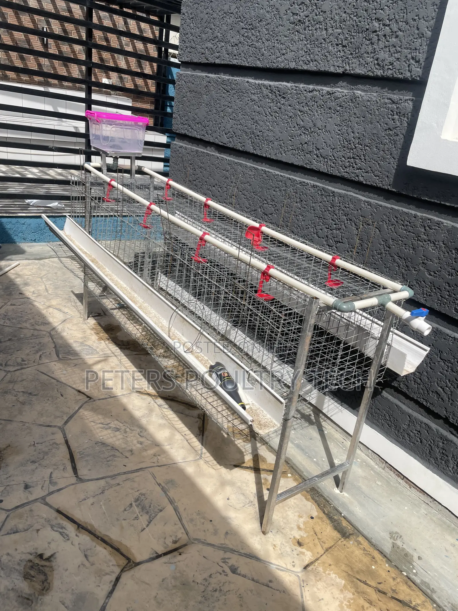 Poultry Cage