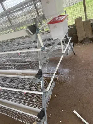 120 Capacity Poultry Battery Cages