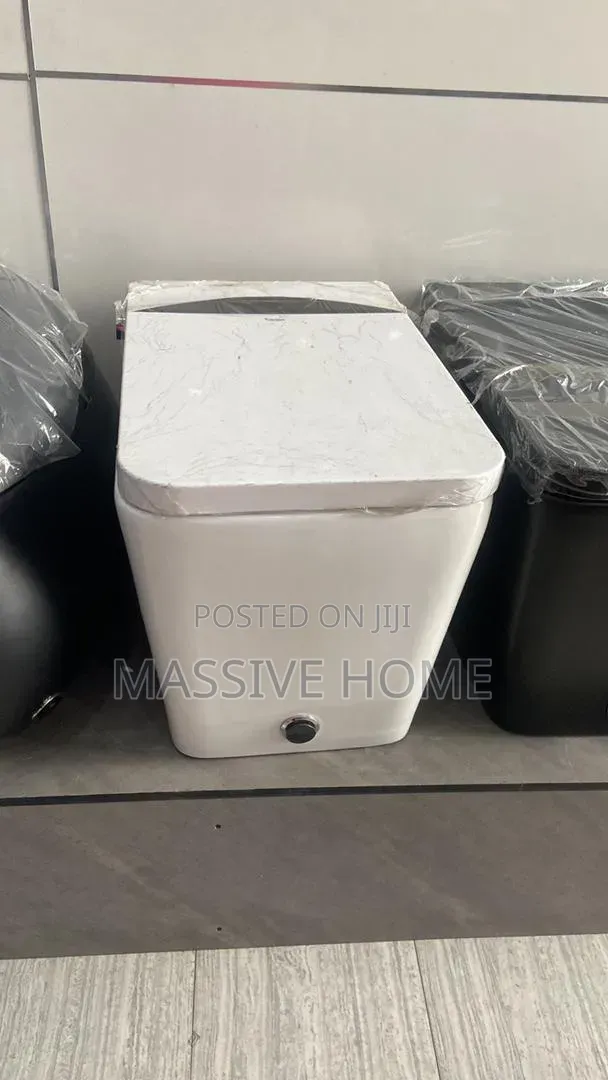 Automatic Smart Sensor Wc With Remote