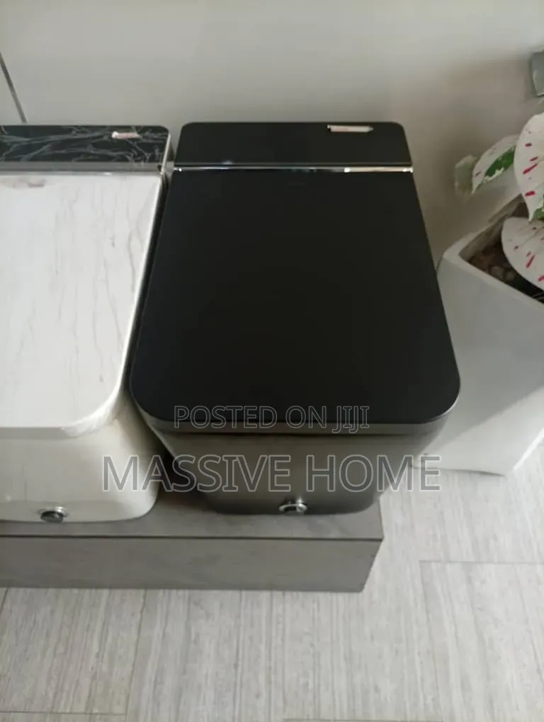 Automatic Smart Sensor Wc With Remote