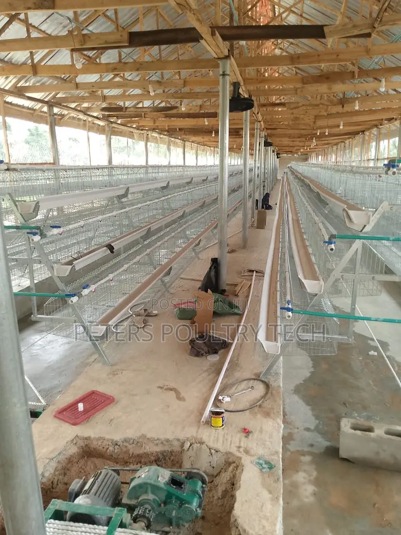 Foreign Battery Cages