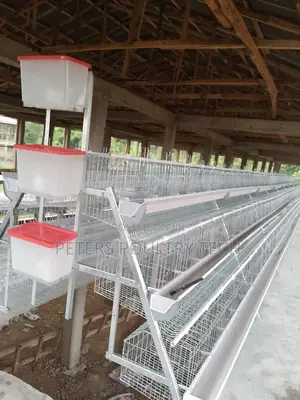 Foreign Battery Cages