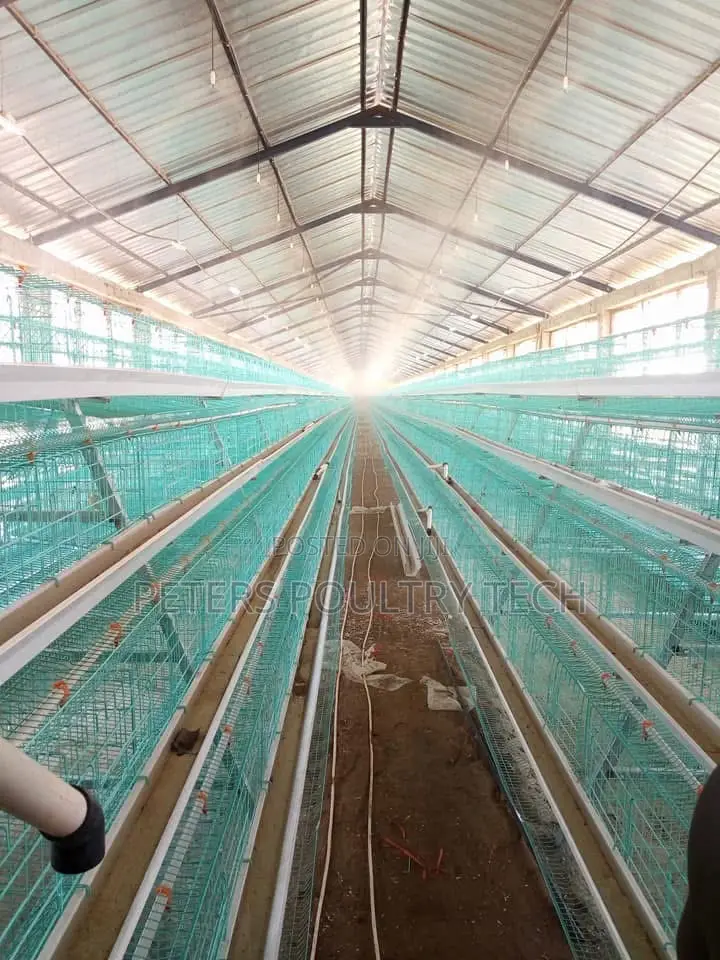 Automated Poultry Battery Cages