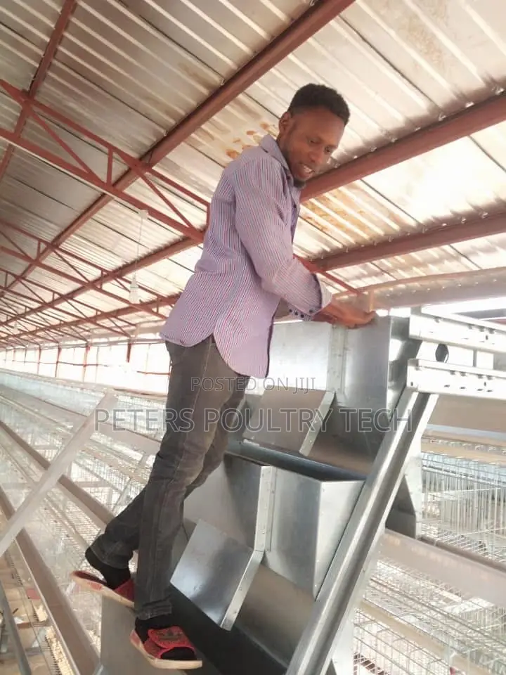 Automated Poultry Battery Cages
