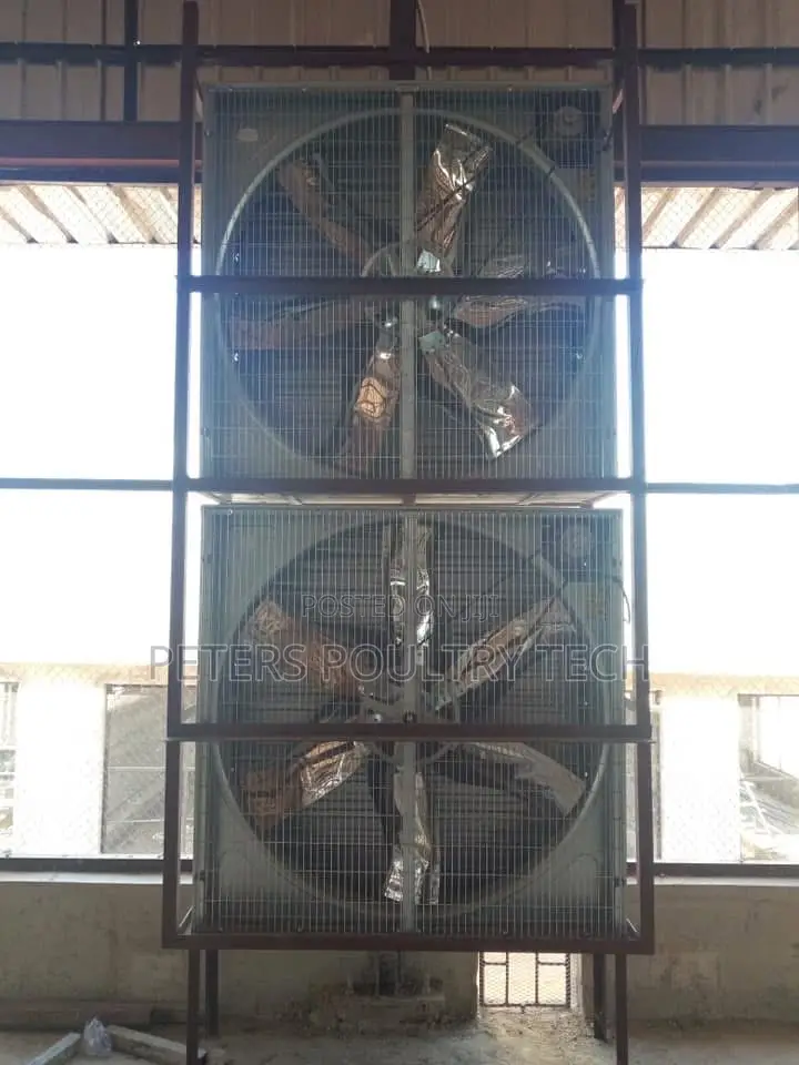 Automated Poultry Battery Cages