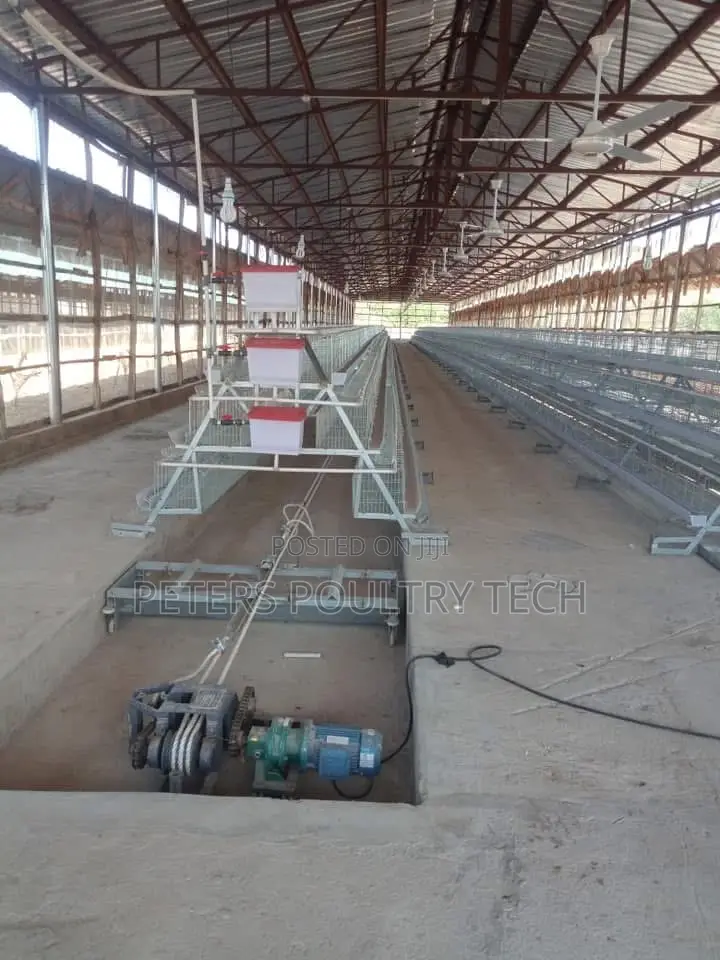 Automated Poultry Battery Cages