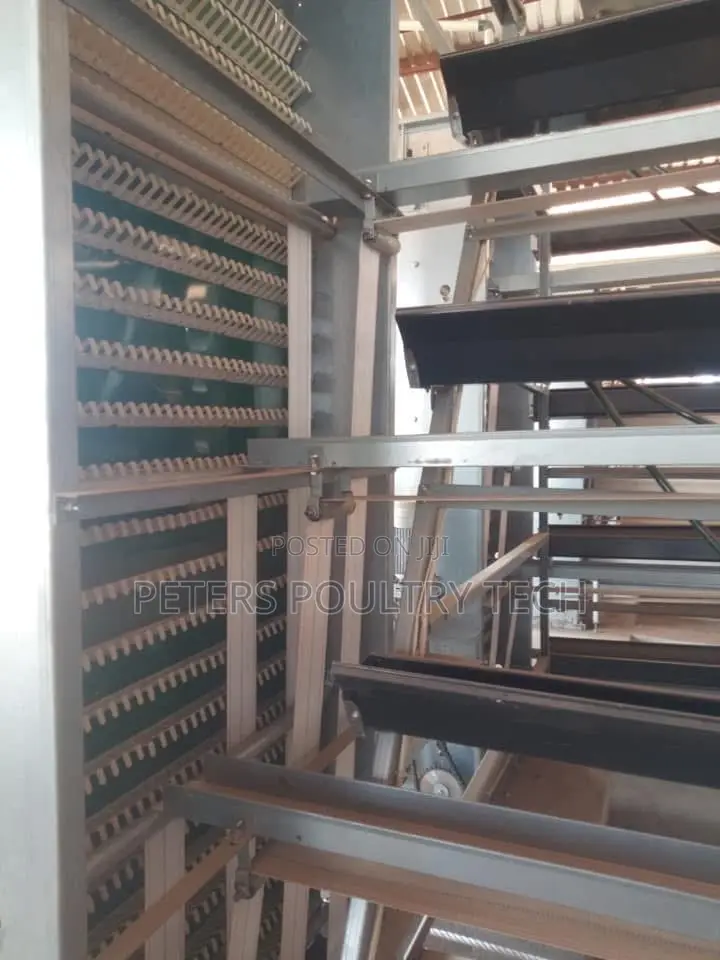 Automated Poultry Battery Cages