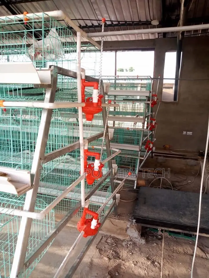 Automated Poultry Battery Cages