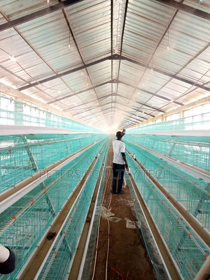 Automated Poultry Battery Cages