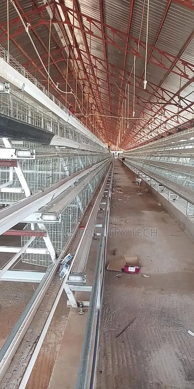 Automated Poultry Battery Cages