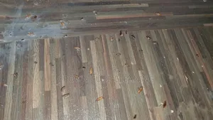 House Cleaning Services / Fumigation Services |