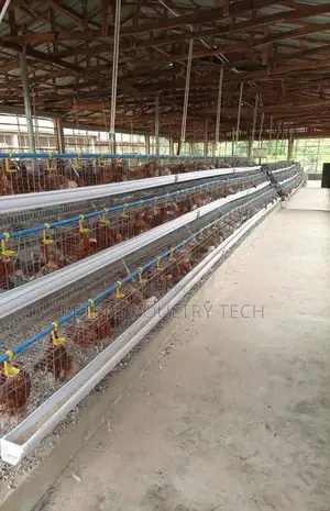 Poultry Farm Equipment