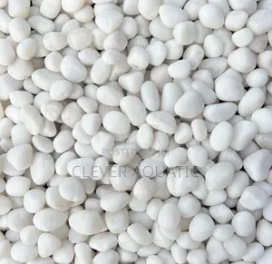 Garden Decorative Pebbles Stone