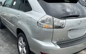 Lexus RX 330 2005 Gray