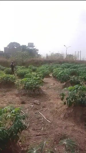 50x100sqm:Land for Sale at Ubulu Okiti