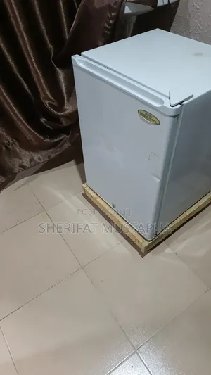 Portable Fridge
