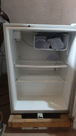 Portable Fridge
