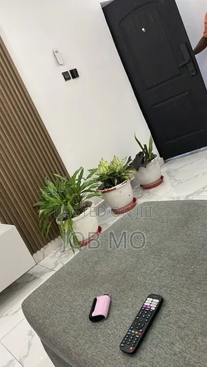 Furnished 2bdrm Apartment in Goodnews Estate, Ajah for rent
