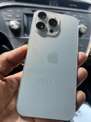 Apple iPhone 15 Pro Max 256 GB Gray