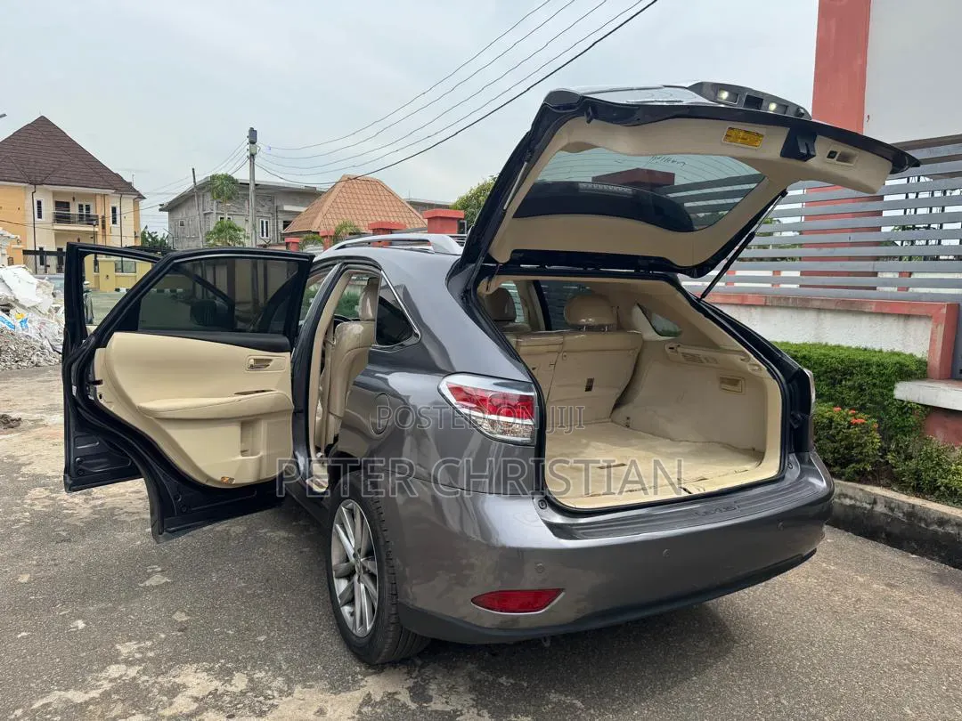 Lexus RX 2013 Gray