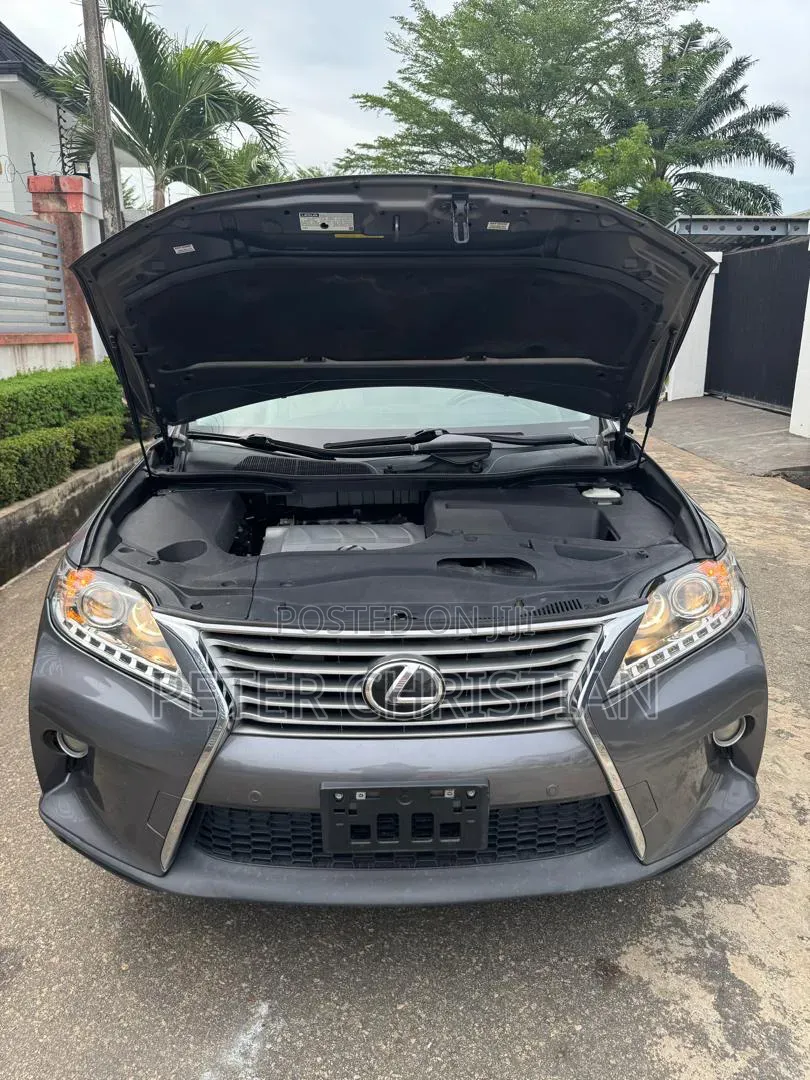 Lexus RX 2013 Gray