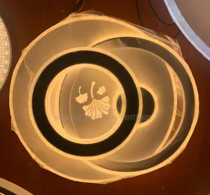 Interior Ceiling Chandelier Available for Sale