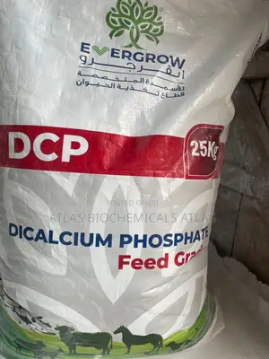 Dicalcium Phosphate (Dcp)