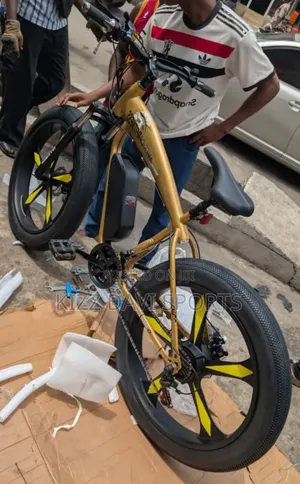 American Fitness Electric Bicycle