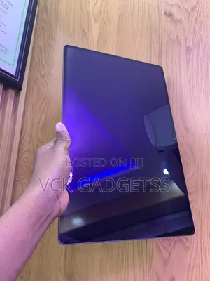Samsung Galaxy Tab S9 Ultra 256 GB Gray