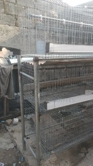 Chicken Cage