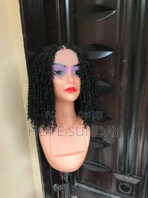 Braided Wig