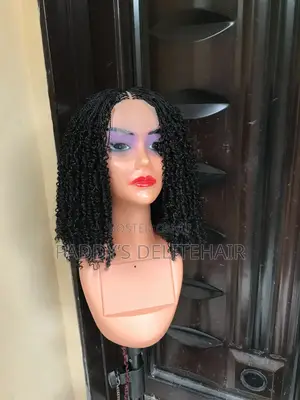 Braided Wig