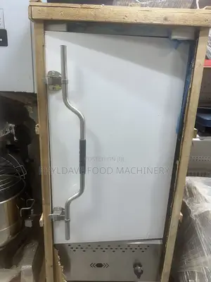 Industrial Steamer