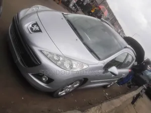 Peugeot 207 2009 Silver