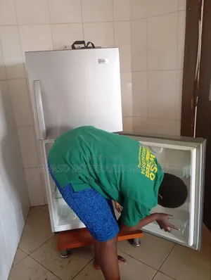Professional Cleaning and Fumigation Service in Abuja