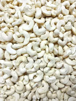Processed Cashew Nuts W320