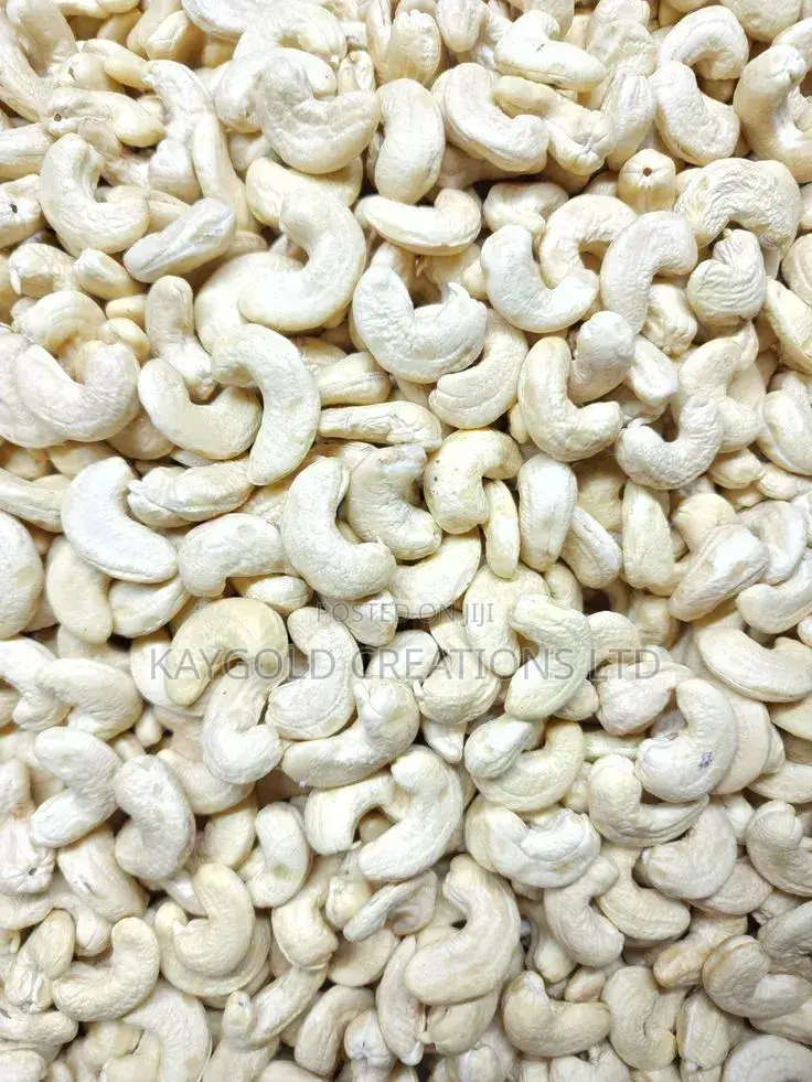 Processed Cashew Nuts W320