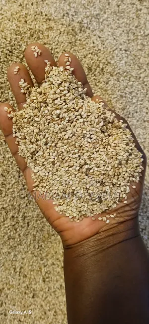 Sesame Seeds[ Per Kg]