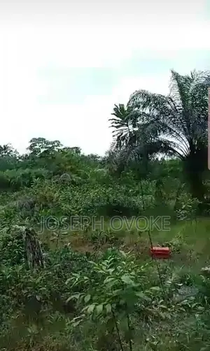 2 Acres Of Land For Sale