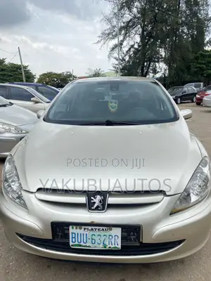 Peugeot 307 2007 Gold