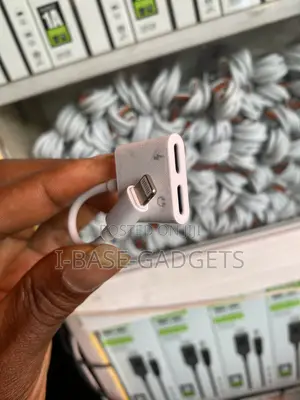Apple Earphones Adapter