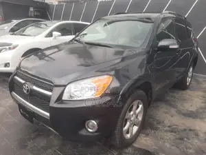 Toyota RAV4 2010 Gray