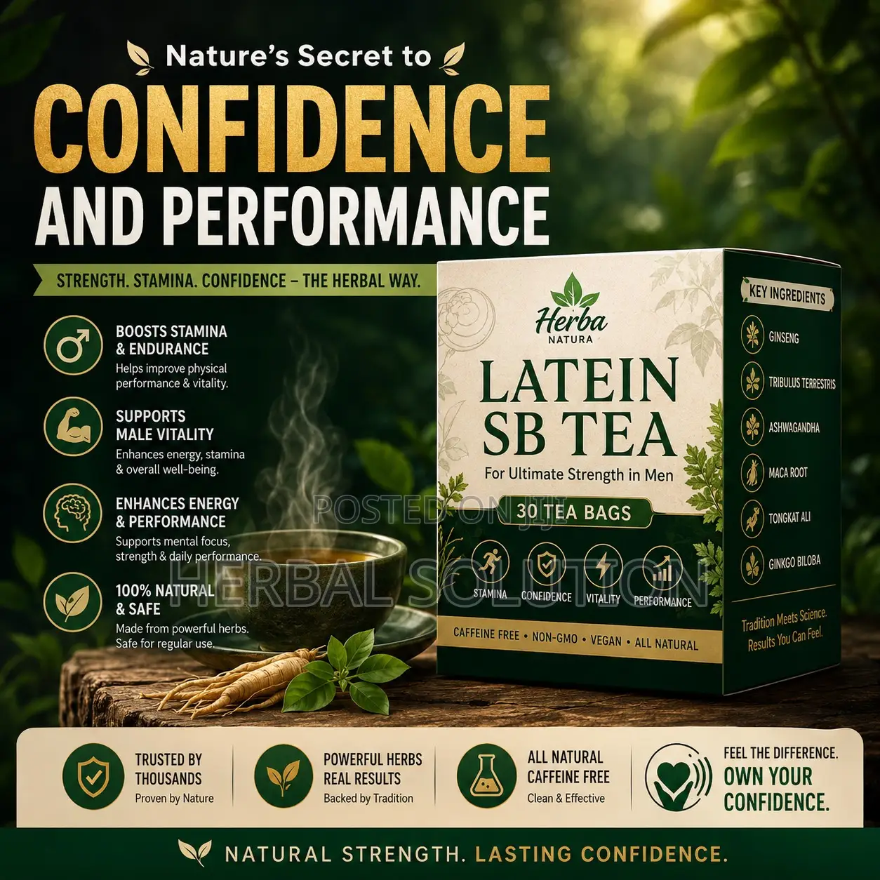 Latein Sb Tea